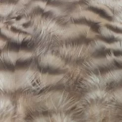 Nature's Spirit Select Grizzly Collaring Hackle (soft Hackle) - Funky Fly Tying 67 Nature's Spirit Select Grizzly Collaring Hackle (soft Hackle) - Funky Fly Tying -Fly Tying Materials Sales Natures Spirit Select Grizzly Collaring Hackle soft hackle Tan