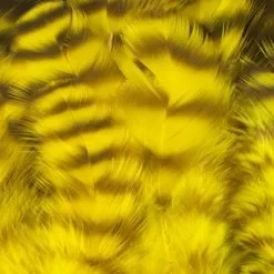 Nature's Spirit Select Grizzly Collaring Hackle (soft Hackle) - Funky Fly Tying 66 Nature's Spirit Select Grizzly Collaring Hackle (soft Hackle) - Funky Fly Tying -Fly Tying Materials Sales Natures Spirit Select Grizzly Collaring Hackle soft hackle Yellow 1