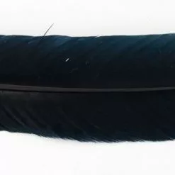 Nature's Spirit Select Ozark Barred Turkey Quills - Funky Fly Tying 24 Nature's Spirit Select Ozark Barred Turkey Quills - Funky Fly Tying -Fly Tying Materials Sales Natures Spirit Select Ozark Barred Turkey Quills Black