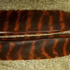 Nature's Spirit Select Wild Turkey Barred Biot Quills - Funky Fly Tying
