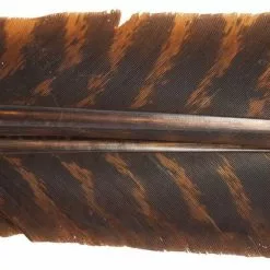 Nature's Spirit Select Wild Turkey Barred Biot Quills - Funky Fly Tying -Fly Tying Materials Sales Natures Spirit Select Wild Turkey Barred Biot Quills Brown