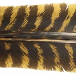Nature's Spirit Select Wild Turkey Barred Biot Quills - Funky Fly Tying -Fly Tying Materials Sales Natures Spirit Select Wild Turkey Barred Biot Quills Brown olive 1