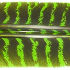 Nature's Spirit Select Wild Turkey Barred Biot Quills - Funky Fly Tying -Fly Tying Materials Sales Natures Spirit Select Wild Turkey Barred Biot Quills Caddis Green 1