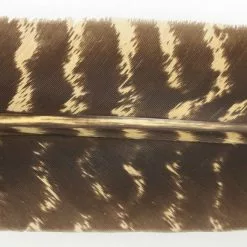 Nature's Spirit Select Wild Turkey Barred Biot Quills - Funky Fly Tying -Fly Tying Materials Sales Natures Spirit Select Wild Turkey Barred Biot Quills Callibaetis