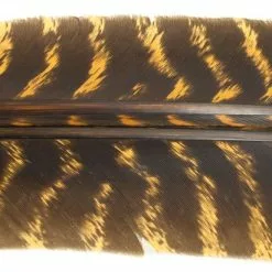 Nature's Spirit Select Wild Turkey Barred Biot Quills - Funky Fly Tying -Fly Tying Materials Sales Natures Spirit Select Wild Turkey Barred Biot Quills Gold
