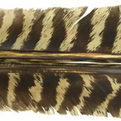 Nature's Spirit Select Wild Turkey Barred Biot Quills - Funky Fly Tying -Fly Tying Materials Sales Natures Spirit Select Wild Turkey Barred Biot Quills Grey Olive