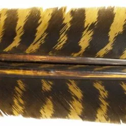 Nature's Spirit Select Wild Turkey Barred Biot Quills - Funky Fly Tying -Fly Tying Materials Sales Natures Spirit Select Wild Turkey Barred Biot Quills Light Olive