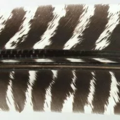 Nature's Spirit Select Wild Turkey Barred Biot Quills - Funky Fly Tying -Fly Tying Materials Sales Natures Spirit Select Wild Turkey Barred Biot Quills Natural 1
