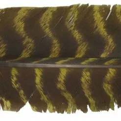 Nature's Spirit Select Wild Turkey Barred Biot Quills - Funky Fly Tying -Fly Tying Materials Sales Natures Spirit Select Wild Turkey Barred Biot Quills Olive 1