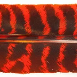 Nature's Spirit Select Wild Turkey Barred Biot Quills - Funky Fly Tying -Fly Tying Materials Sales Natures Spirit Select Wild Turkey Barred Biot Quills Rusty Orange 1