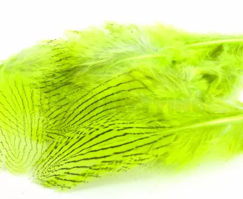 Nature's Spirit Silver Pheasant Body Feathers (Discontinued) - Funky Fly Tying 8 Nature's Spirit Silver Pheasant Body Feathers (Discontinued) - Funky Fly Tying - Image 6