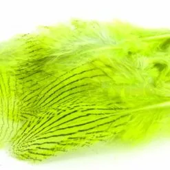 Nature's Spirit Silver Pheasant Body Feathers (Discontinued) - Funky Fly Tying 28 Nature's Spirit Silver Pheasant Body Feathers (Discontinued) - Funky Fly Tying -Fly Tying Materials Sales Natures Spirit Silver Pheasant Body Feathers Discontinued Fluo Chartereuse