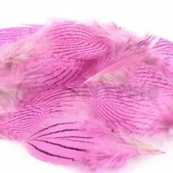 Nature's Spirit Silver Pheasant Body Feathers (Discontinued) - Funky Fly Tying 26 Nature's Spirit Silver Pheasant Body Feathers (Discontinued) - Funky Fly Tying -Fly Tying Materials Sales Natures Spirit Silver Pheasant Body Feathers Discontinued Fluo Hot Pink