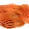 Nature's Spirit Silver Pheasant Body Feathers (Discontinued) - Funky Fly Tying 1 Nature's Spirit Silver Pheasant Body Feathers (Discontinued) - Funky Fly Tying -Fly Tying Materials Sales Natures Spirit Silver Pheasant Body Feathers Discontinued Fluo Orange