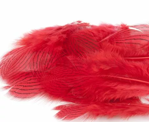 Nature's Spirit Silver Pheasant Body Feathers (Discontinued) - Funky Fly Tying 17 Nature's Spirit Silver Pheasant Body Feathers (Discontinued) - Funky Fly Tying - Image 15