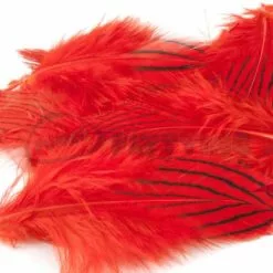 Nature's Spirit Silver Pheasant Body Feathers (Discontinued) - Funky Fly Tying 45 Nature's Spirit Silver Pheasant Body Feathers (Discontinued) - Funky Fly Tying -Fly Tying Materials Sales Natures Spirit Silver Pheasant Body Feathers Discontinued hot Orange 1
