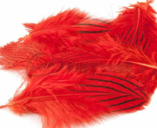 Nature's Spirit Silver Pheasant Body Feathers (Discontinued) - Funky Fly Tying 23 Nature's Spirit Silver Pheasant Body Feathers (Discontinued) - Funky Fly Tying - Image 21