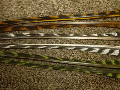 Nature's Spirit Stripped Barred Biots - Funky Fly Tying 3 Nature's Spirit Stripped Barred Biots - Funky Fly Tying