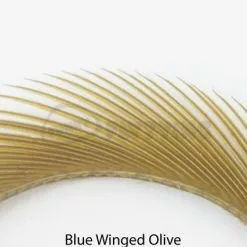 Nature's Spirit Stripped Goose Biots - Funky Fly Tying -Fly Tying Materials Sales Natures Spirit Stripped Goose Biots Blue Winged Olive