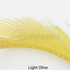 Nature's Spirit Stripped Goose Biots - Funky Fly Tying -Fly Tying Materials Sales Natures Spirit Stripped Goose Biots Light Olive