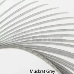 Nature's Spirit Stripped Goose Biots - Funky Fly Tying -Fly Tying Materials Sales Natures Spirit Stripped Goose Biots Muskrat Grey