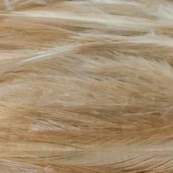 Nature's Spirit Strung Neck Hackle - Funky Fly Tying -Fly Tying Materials Sales Natures Spirit Strung Neck Hackle Tan 1