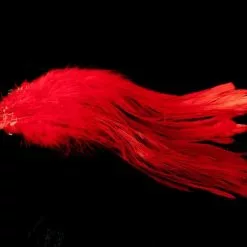 Nature's Spirit Strung Schlappen Long 5 1/2"-7" - Funky Fly Tying -Fly Tying Materials Sales Natures Spirit Strung Schlappen Long 5½ 7 Orange 1