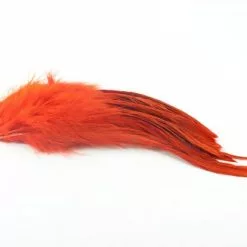 Nature's Spirit Strung Schlappen XL 7-9" - Funky Fly Tying -Fly Tying Materials Sales Natures Spirit Strung Schlappen XL 7 9 Crowdad Orange