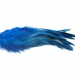 Nature's Spirit Strung Schlappen XL 7-9" - Funky Fly Tying -Fly Tying Materials Sales Natures Spirit Strung Schlappen XL 7 9 Royal Blue 1