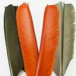 Nature's Spirit Turkey Biot Quills - Funky Fly Tying