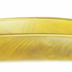 Nature's Spirit Turkey Biot Quills - Funky Fly Tying -Fly Tying Materials Sales Natures Spirit Turkey Biot Quills Blue Winged Olive 1