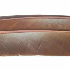 Nature's Spirit Turkey Biot Quills - Funky Fly Tying -Fly Tying Materials Sales Natures Spirit Turkey Biot Quills Brown 1