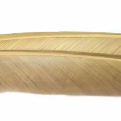 Nature's Spirit Turkey Biot Quills - Funky Fly Tying -Fly Tying Materials Sales Natures Spirit Turkey Biot Quills Callibaetis 1