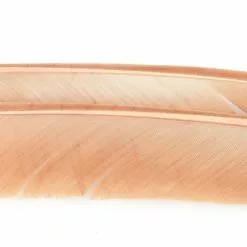 Nature's Spirit Turkey Biot Quills - Funky Fly Tying -Fly Tying Materials Sales Natures Spirit Turkey Biot Quills Dark Tan