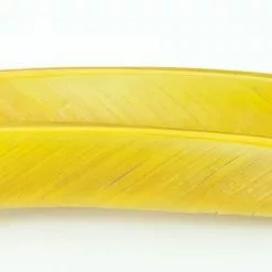 Nature's Spirit Turkey Biot Quills - Funky Fly Tying -Fly Tying Materials Sales Natures Spirit Turkey Biot Quills Light Olive