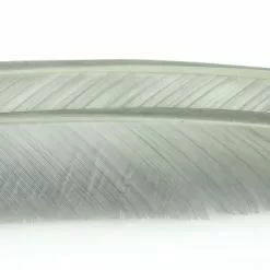 Nature's Spirit Turkey Biot Quills - Funky Fly Tying -Fly Tying Materials Sales Natures Spirit Turkey Biot Quills Muskrat Grey