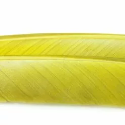 Nature's Spirit Turkey Biot Quills - Funky Fly Tying -Fly Tying Materials Sales Natures Spirit Turkey Biot Quills Olive 1