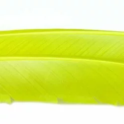 Nature's Spirit Turkey Biot Quills - Funky Fly Tying -Fly Tying Materials Sales Natures Spirit Turkey Biot Quills Pale Olive 1