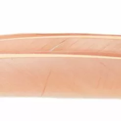 Nature's Spirit Turkey Biot Quills - Funky Fly Tying -Fly Tying Materials Sales Natures Spirit Turkey Biot Quills Pink Cahill