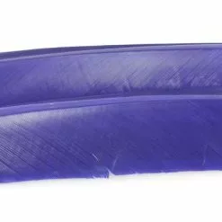 Nature's Spirit Turkey Biot Quills - Funky Fly Tying -Fly Tying Materials Sales Natures Spirit Turkey Biot Quills Purple