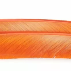 Nature's Spirit Turkey Biot Quills - Funky Fly Tying -Fly Tying Materials Sales Natures Spirit Turkey Biot Quills Rusty Spinner 1