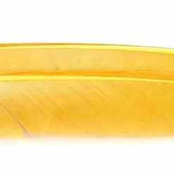 Nature's Spirit Turkey Biot Quills - Funky Fly Tying -Fly Tying Materials Sales Natures Spirit Turkey Biot Quills Tannish Yellow 1