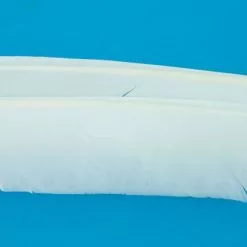 Nature's Spirit Turkey Biot Quills - Funky Fly Tying -Fly Tying Materials Sales Natures Spirit Turkey Biot Quills White 1