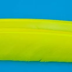 Nature's Spirit Turkey Biot Quills - Funky Fly Tying -Fly Tying Materials Sales Natures Spirit Turkey Biot Quills Yellow