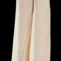 Nature's Spirit Turkey Biot Strips - Funky Fly Tying -Fly Tying Materials Sales Natures Spirit Turkey Biot Strips Pink Cahill