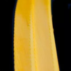 Nature's Spirit Turkey Biot Strips - Funky Fly Tying -Fly Tying Materials Sales Natures Spirit Turkey Biot Strips Sulphur Orange