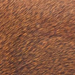 Polish Quills Winter Roe Deer - Funky Fly Tying -Fly Tying Materials Sales Polish Quills Winter Roe Deer Orange