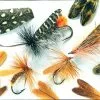 Veniard Natural Feather Caddis Wings - Funky Fly Tying 1 Veniard Natural Feather Caddis Wings - Funky Fly Tying -Fly Tying Materials Sales Veniard Natural Feather Caddis Wings 1