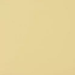 Virtual Nymph Flexi Body - Funky Fly Tying -Fly Tying Materials Sales Virtual Nymph Flexi Body Mayfly Cream 1