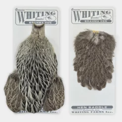 Whiting Brahma Hen Cape - Funky Fly Tying